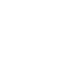 Earning Reports