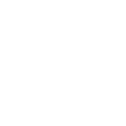 fast-delivery fast-delivery