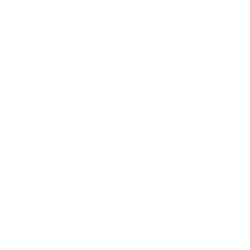 Business Insights