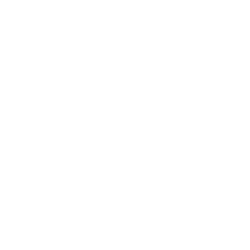In-house healthcare app experts icon – professional software development team