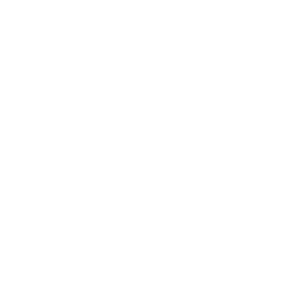 Multiple Language Support Multiple Language Support