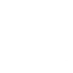 Fleet Management Fleet Management