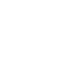Surge Pricing Surge Pricing